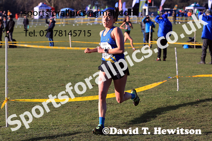 Senior womens 2025 Northern Cross Country Champs, Tatton Park, Knutsford, Cheshire. Photo: David T. Hewitson/Sports for All Pics